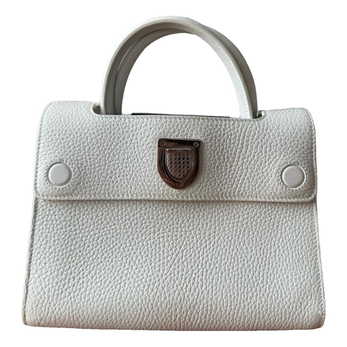Diorever leather bag