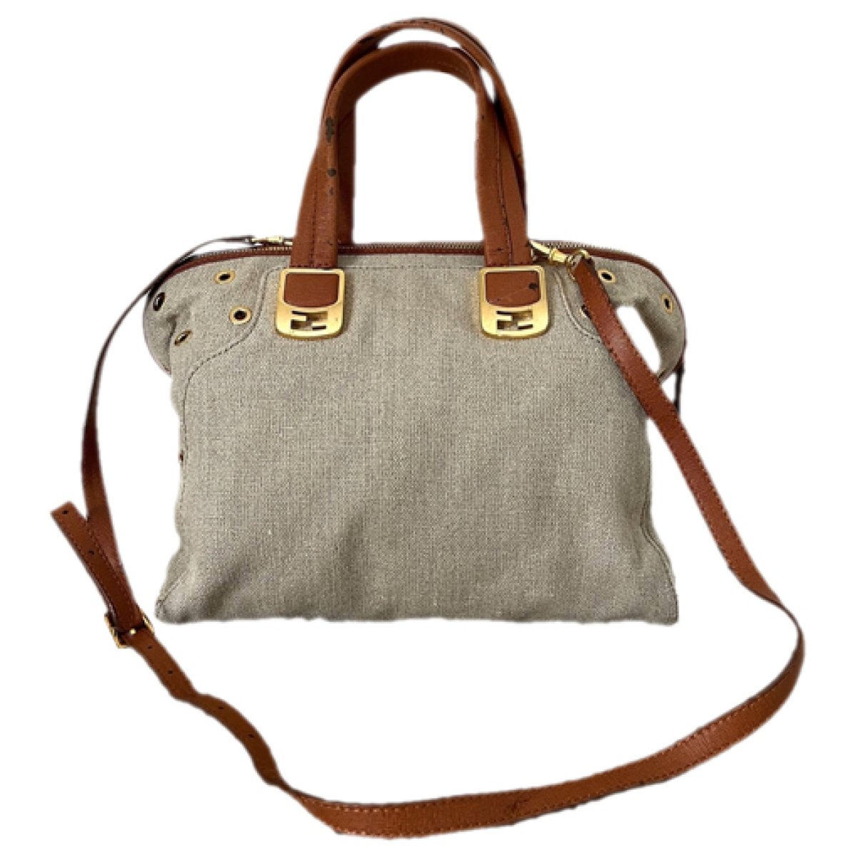 Chameleon cloth crossbody bag