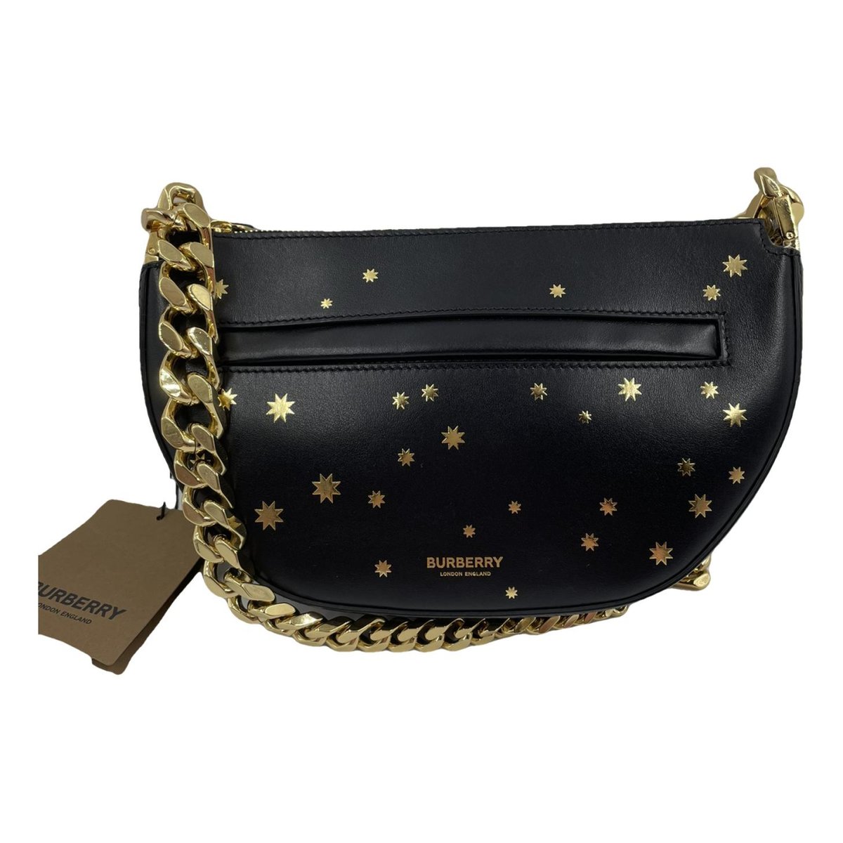 Olympia Chain leather handbag