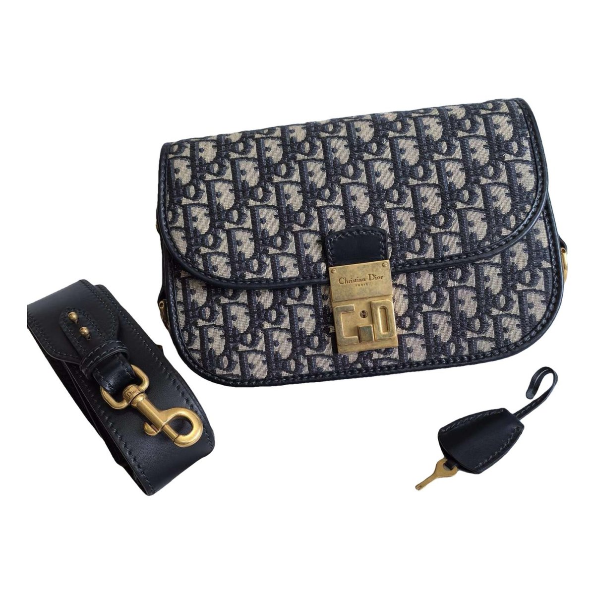 DiorAddict cloth handbag