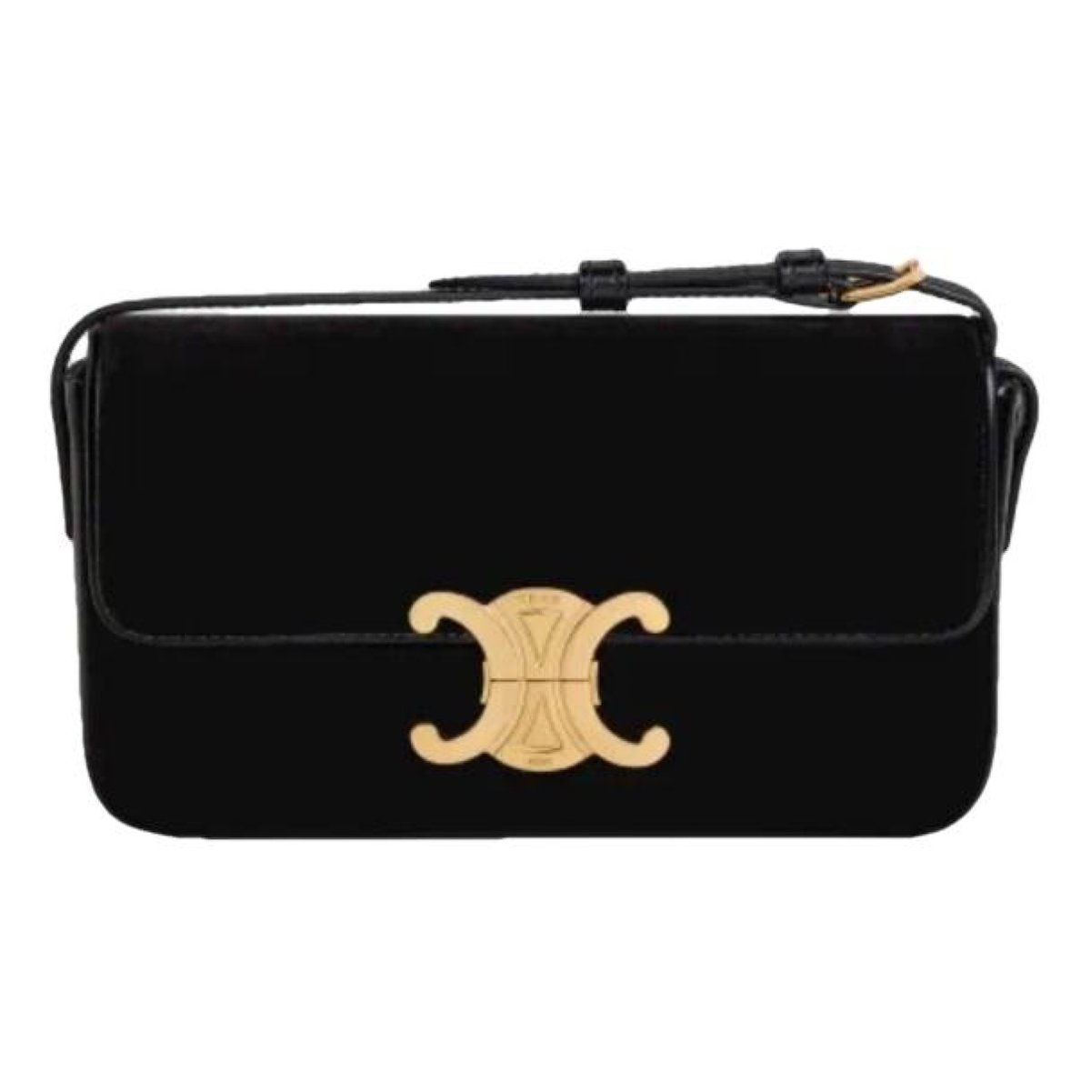 Triomphe Long leather handbag