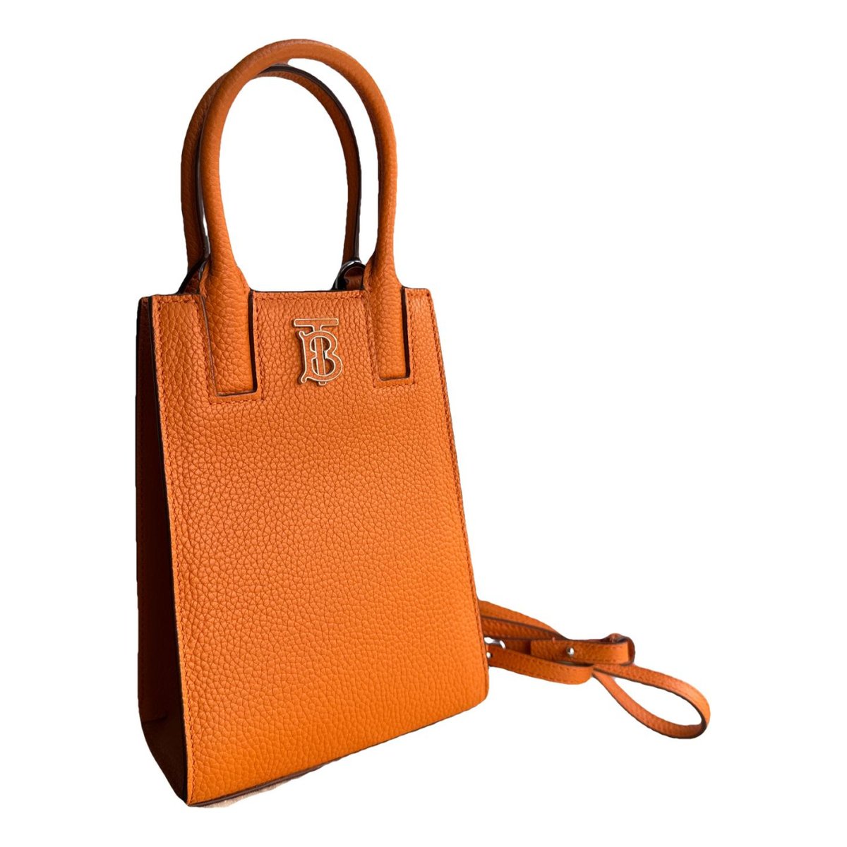 TB Frances Mini leather handbag