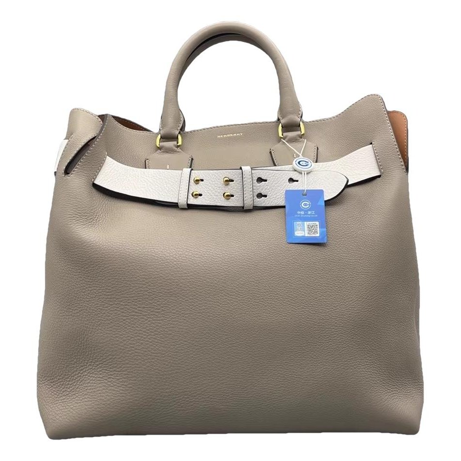The Belt leather handbag
