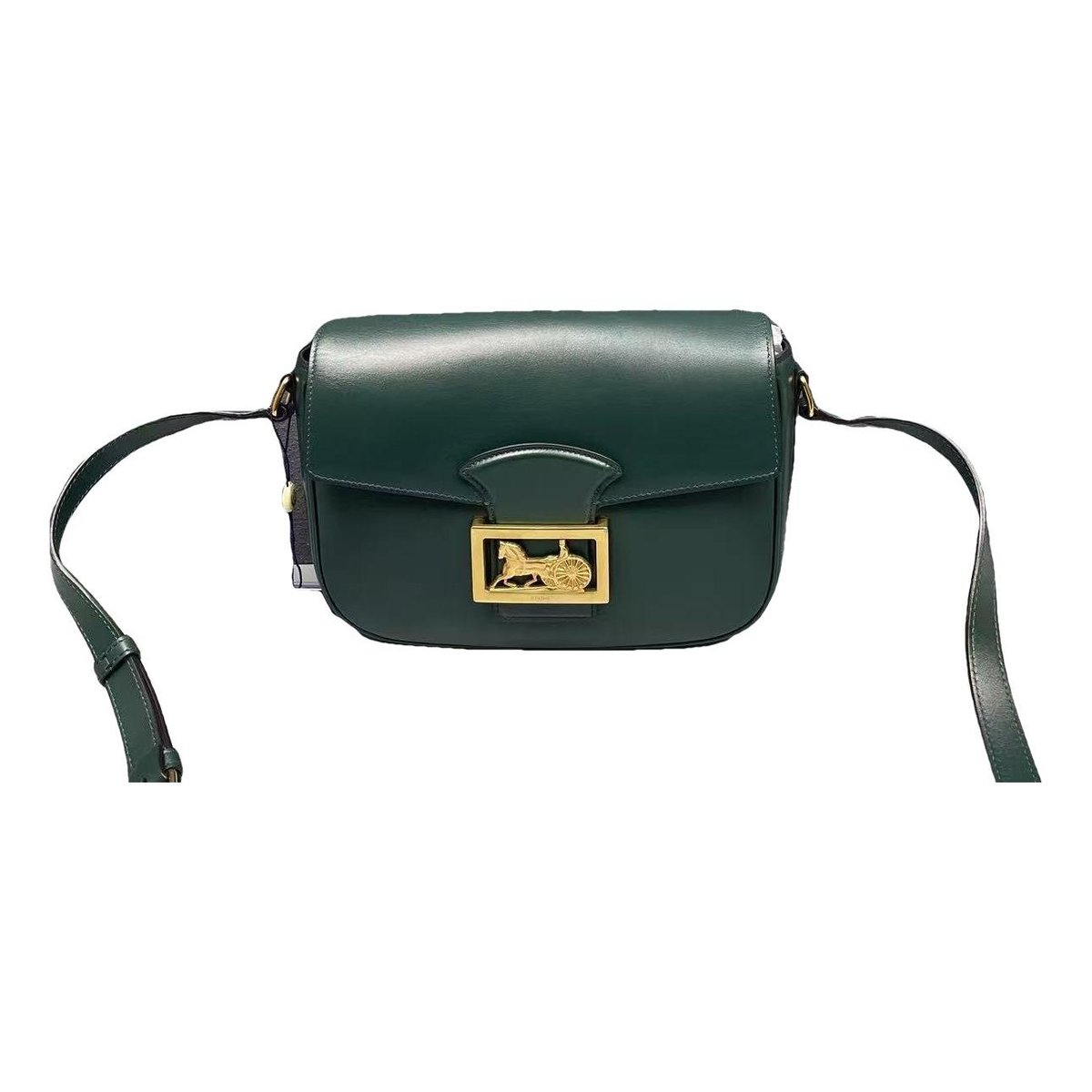 Triomphe Maillon Chain leather crossbody bag