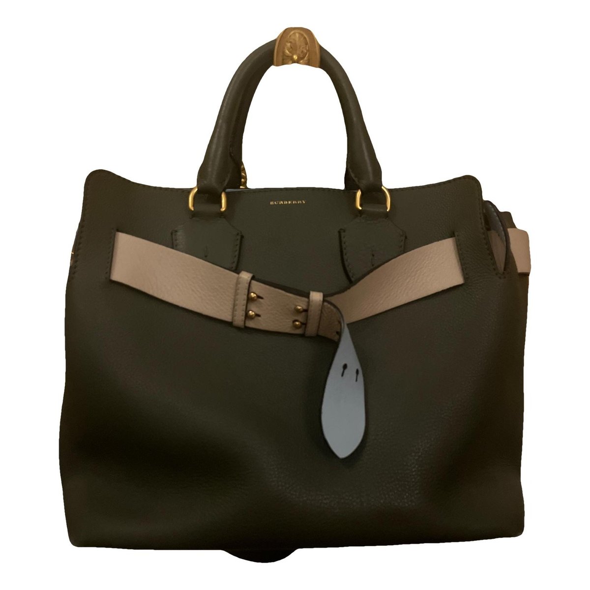 The Belt leather handbag