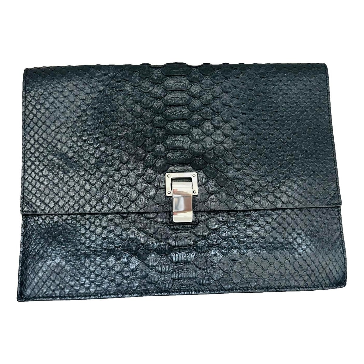 Lunch python clutch bag