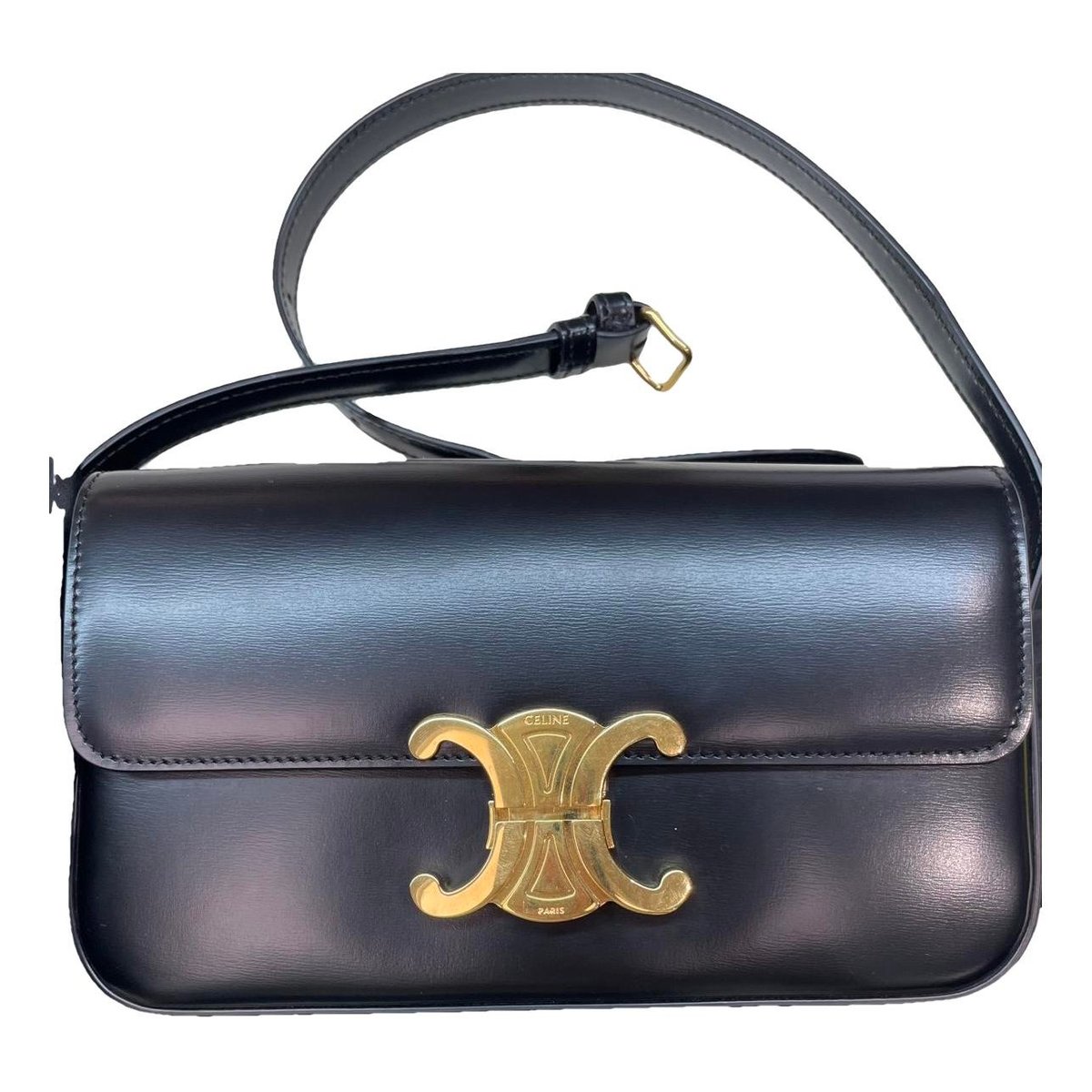 Triomphe Long leather handbag