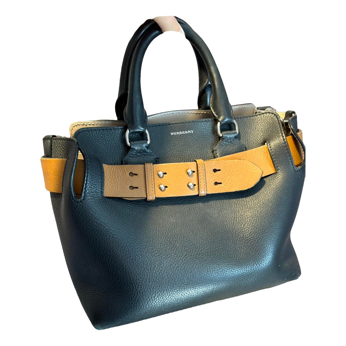 The Belt leather handbag