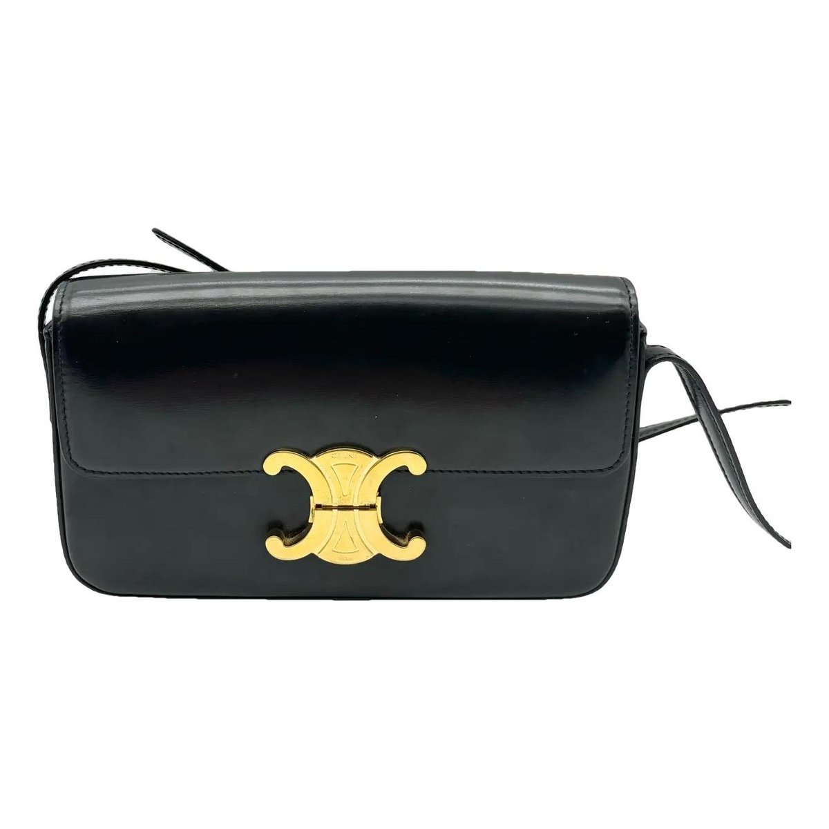 Triomphe Long leather handbag