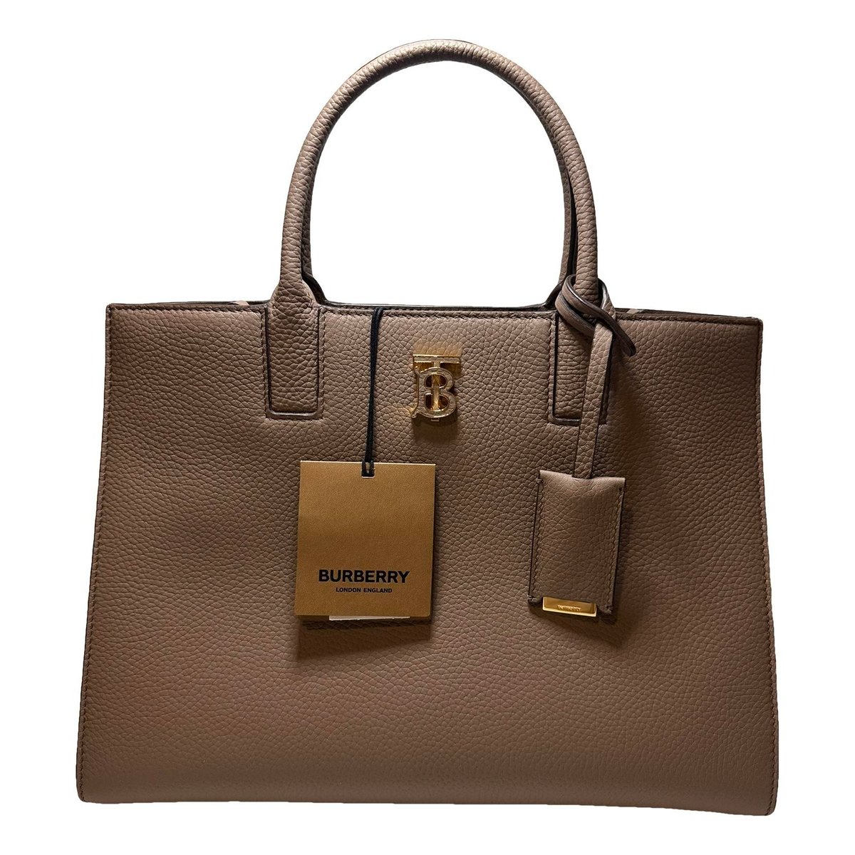 Burberry TB Frances Small