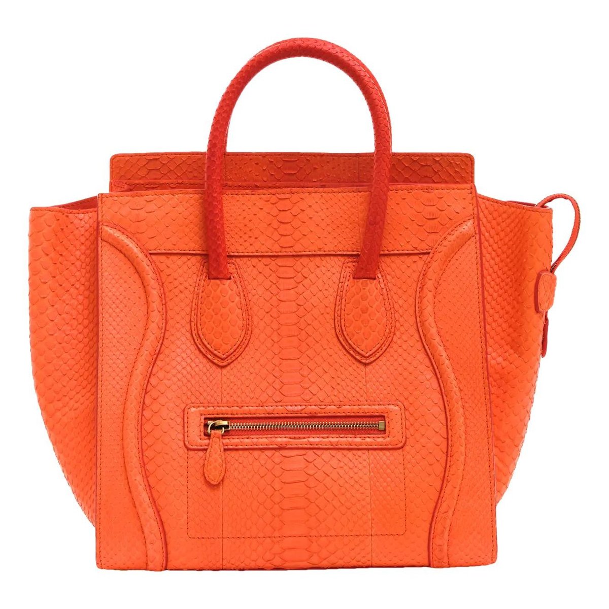 Luggage python handbag
