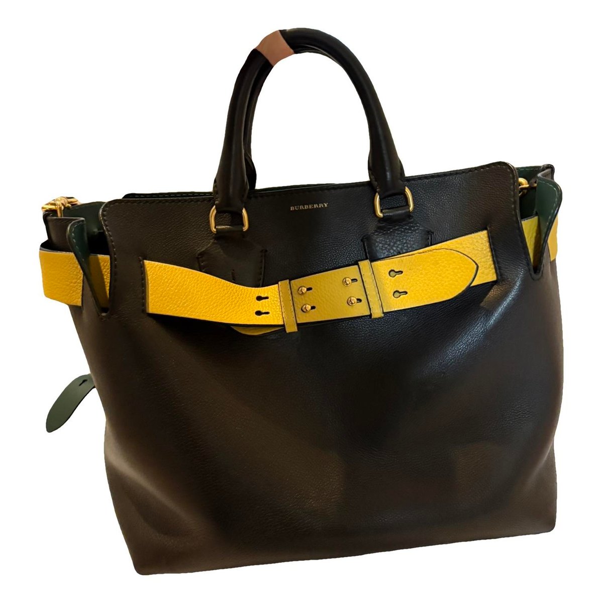 The Belt leather handbag