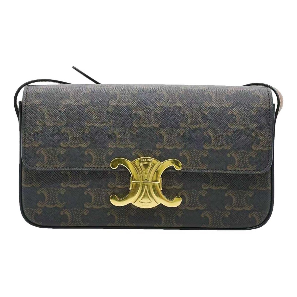 Triomphe Long leather handbag