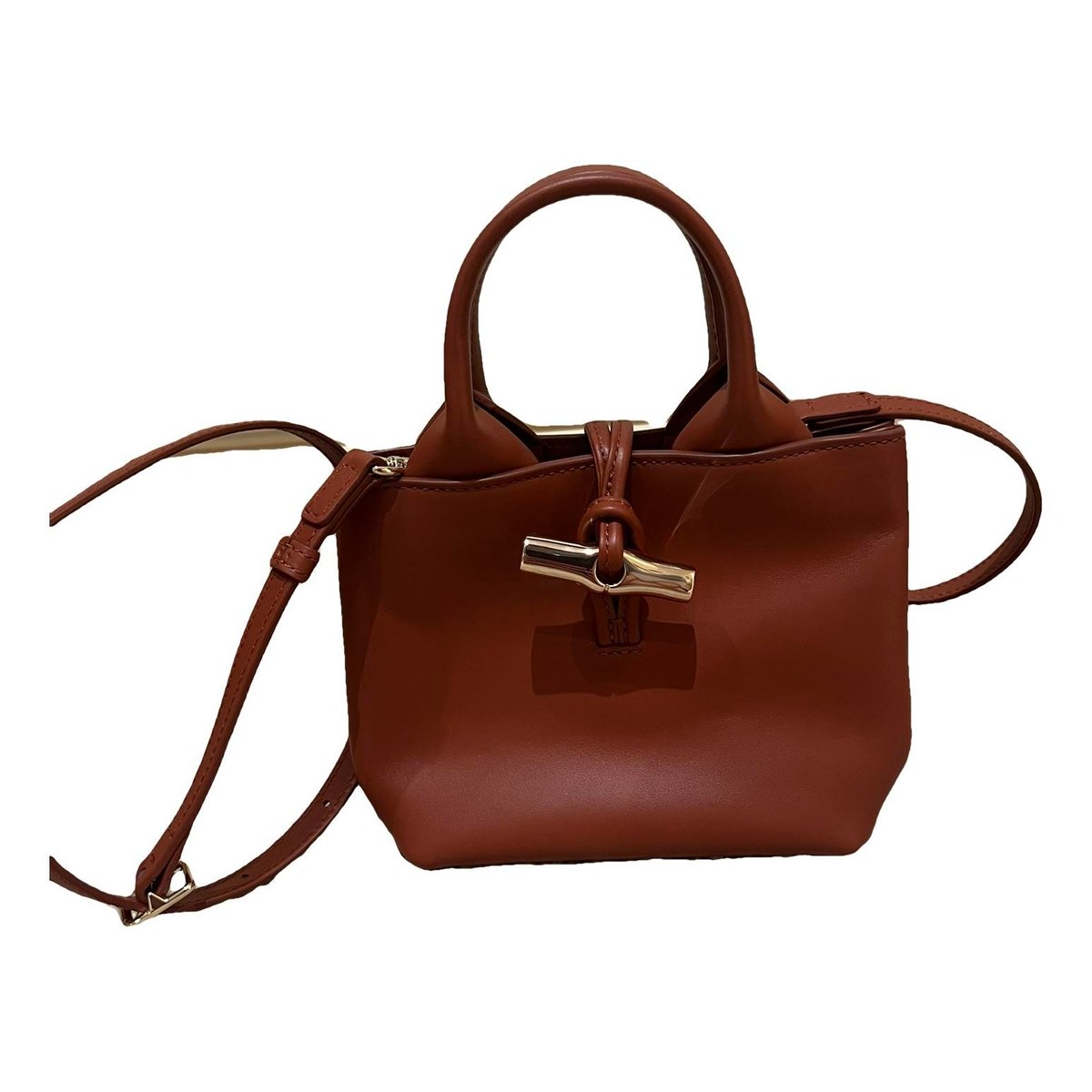 Roseau leather mini bag