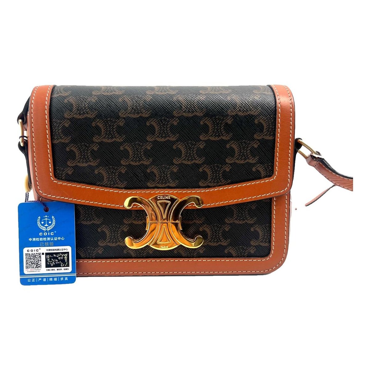 Triomphe leather handbag