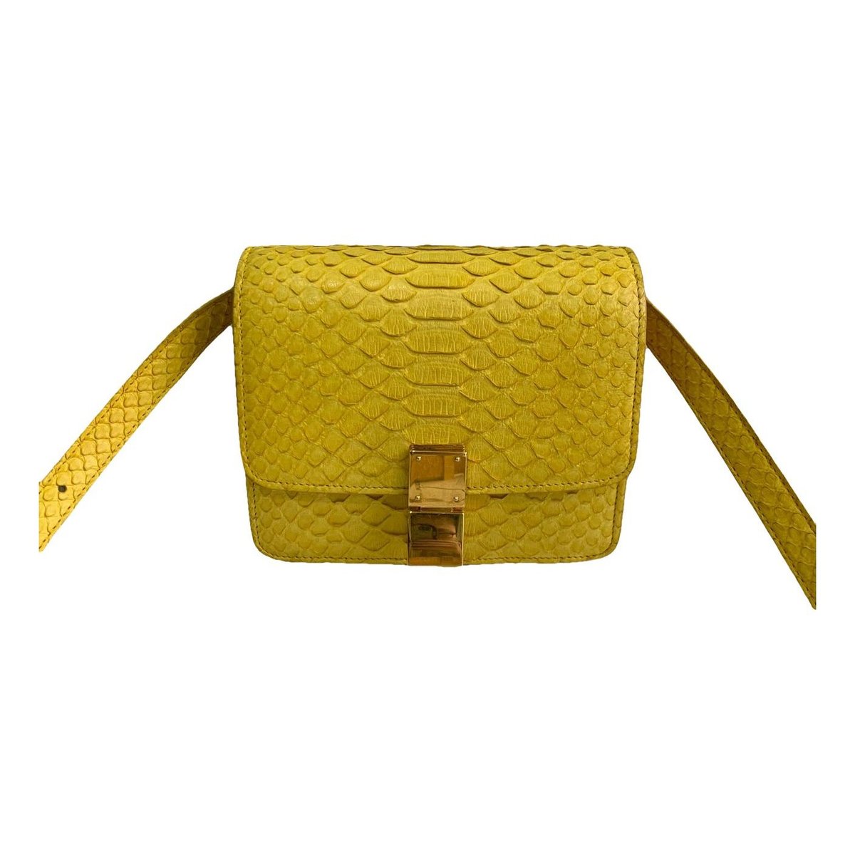Classic python handbag