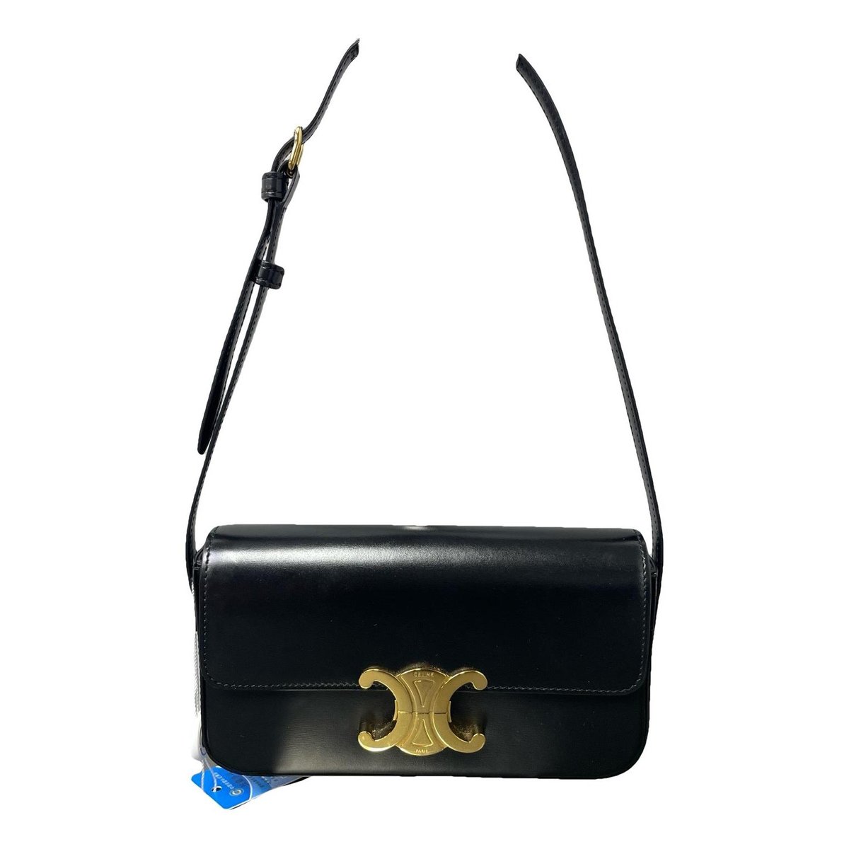 Triomphe Long leather handbag