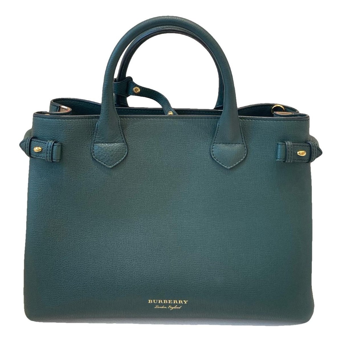 TB Frances Madium leather handbag