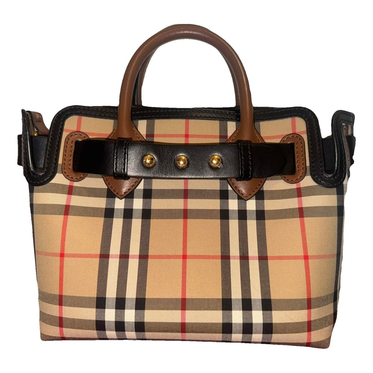 The Belt leather handbag