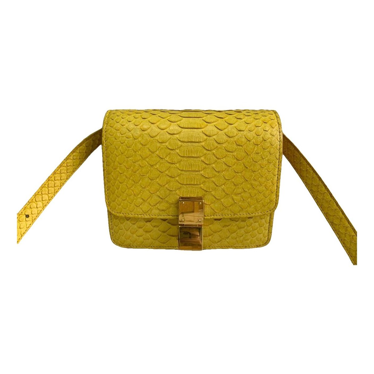 Classic python handbag