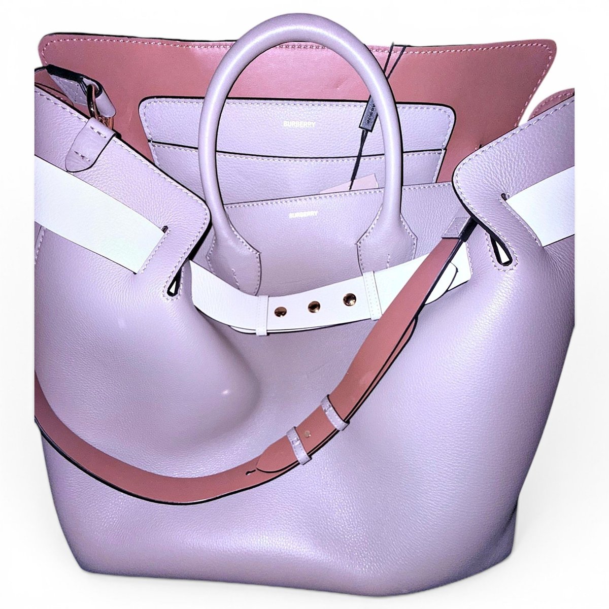 The Belt leather handbag