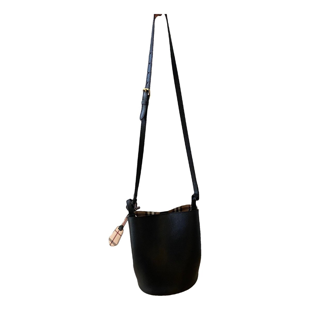 The Bucket leather crossbody bag