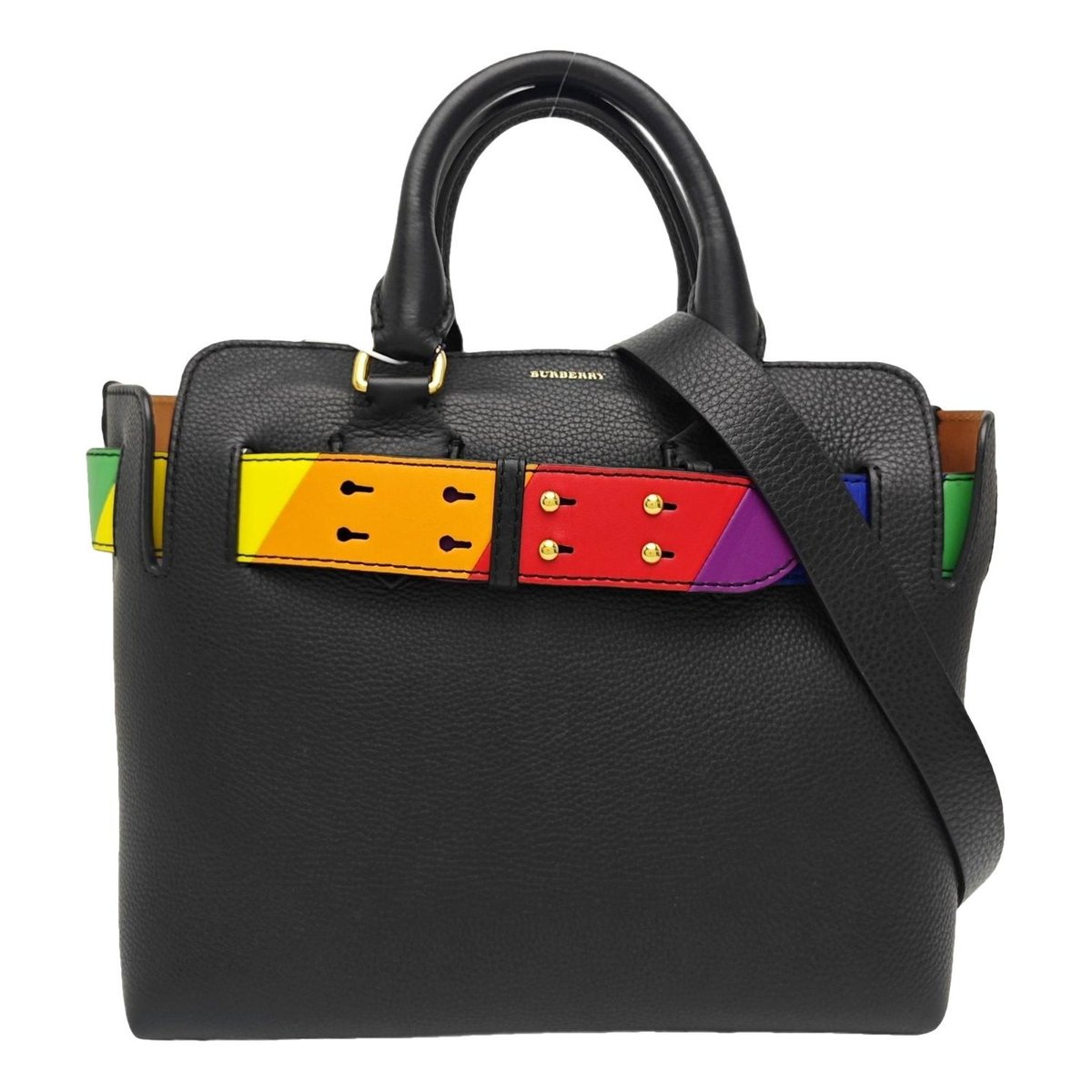 The Belt leather handbag