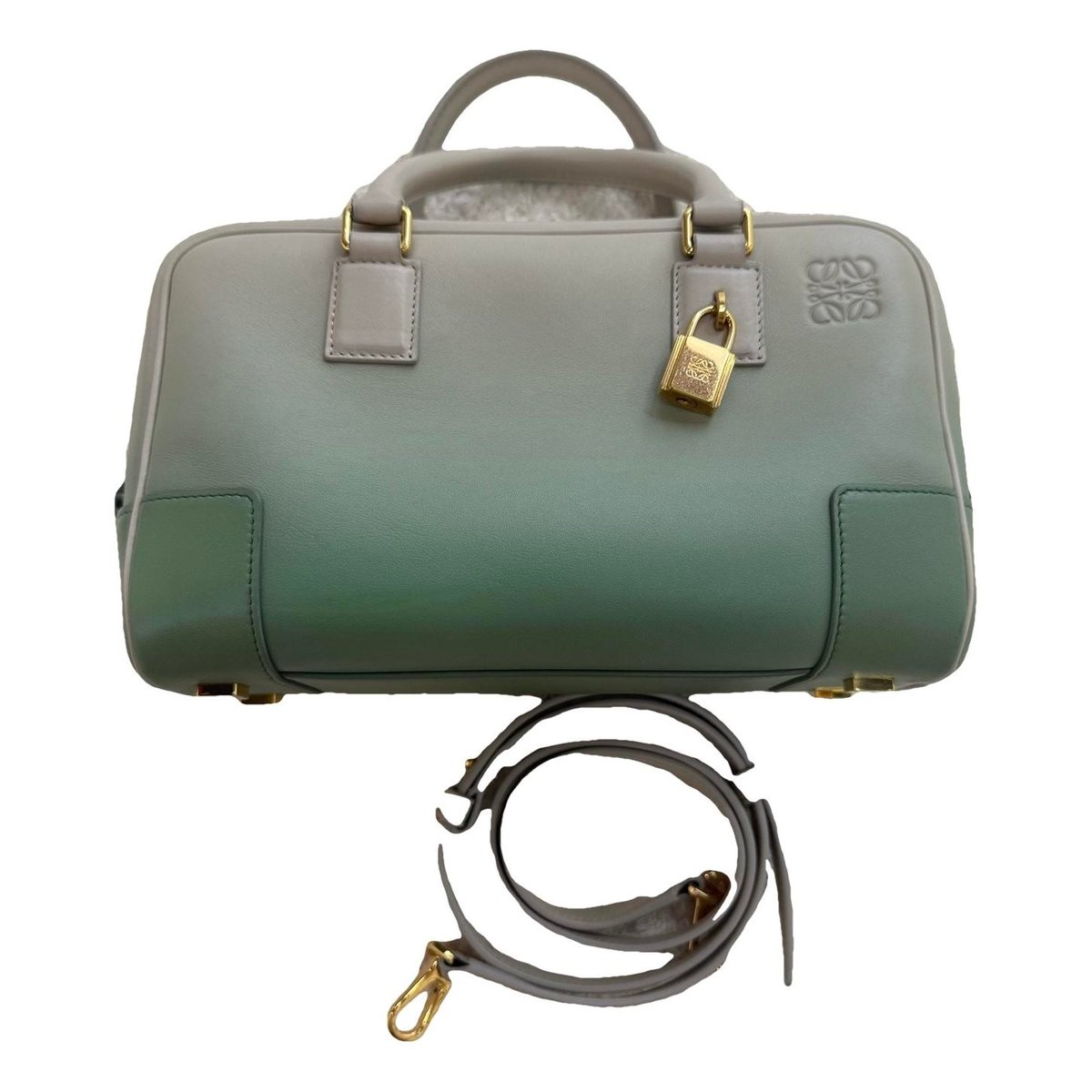 Amazona leather handbag