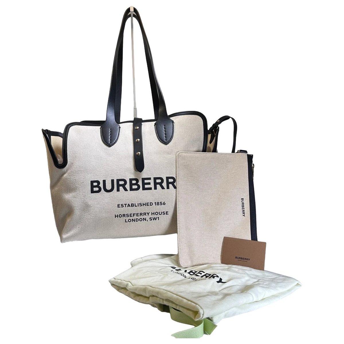The Belt leather handbag