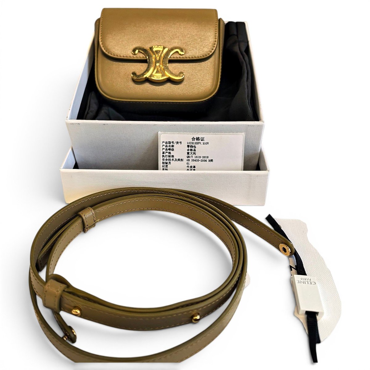 Triomphe leather handbag