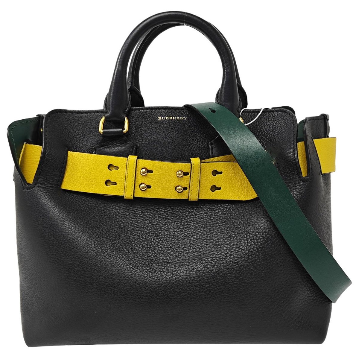 The Belt leather handbag