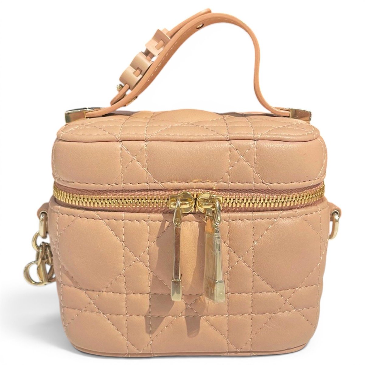 Vanity lady dior leather handbag