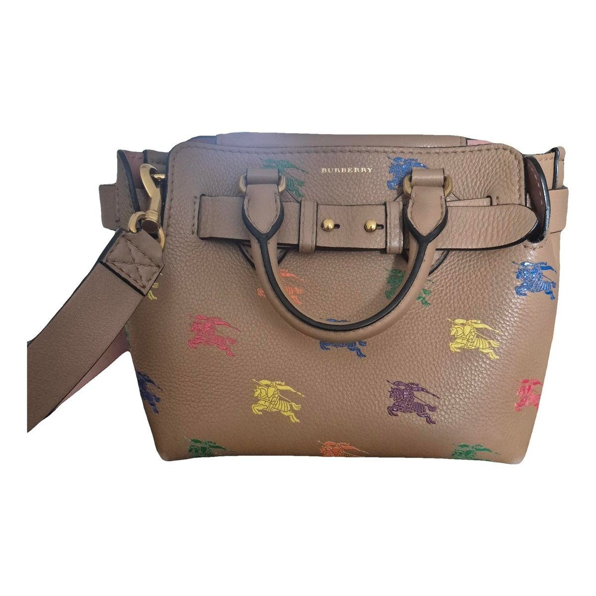 The Belt leather handbag