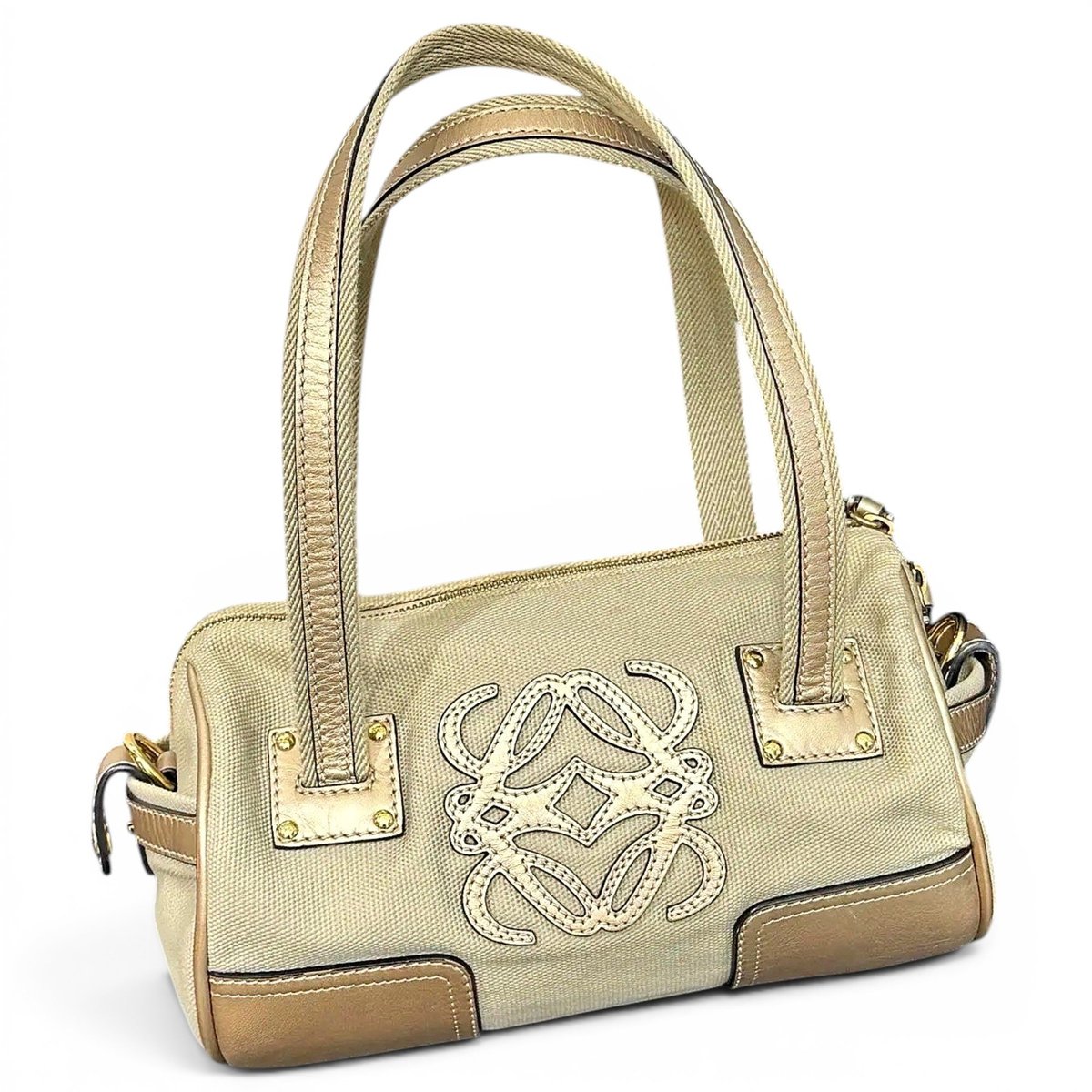 Amazona cloth handbag