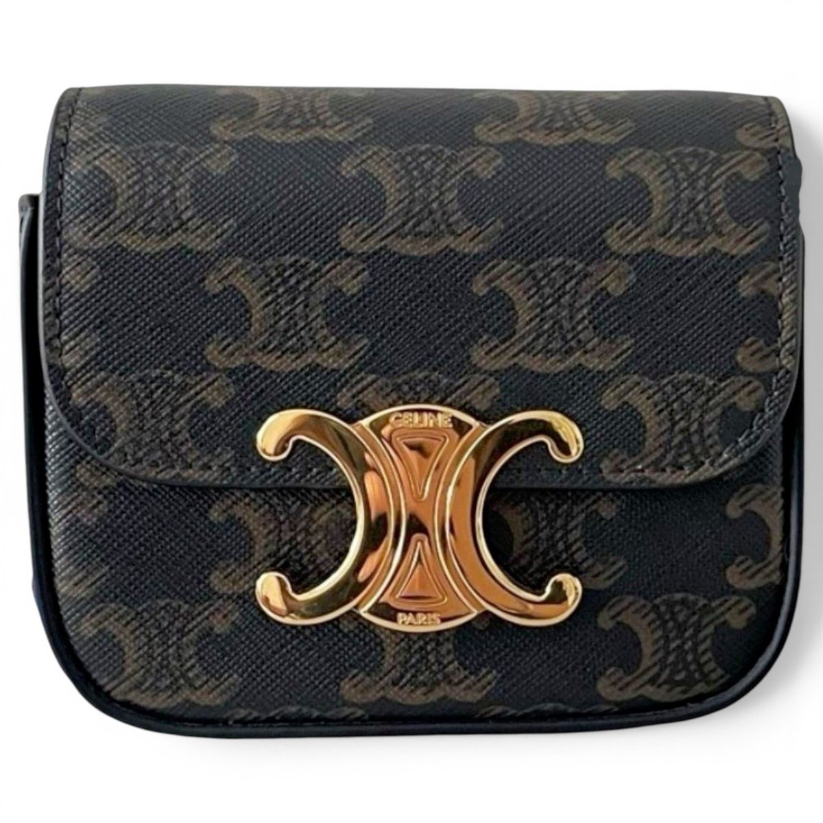Triomphe leather bag
