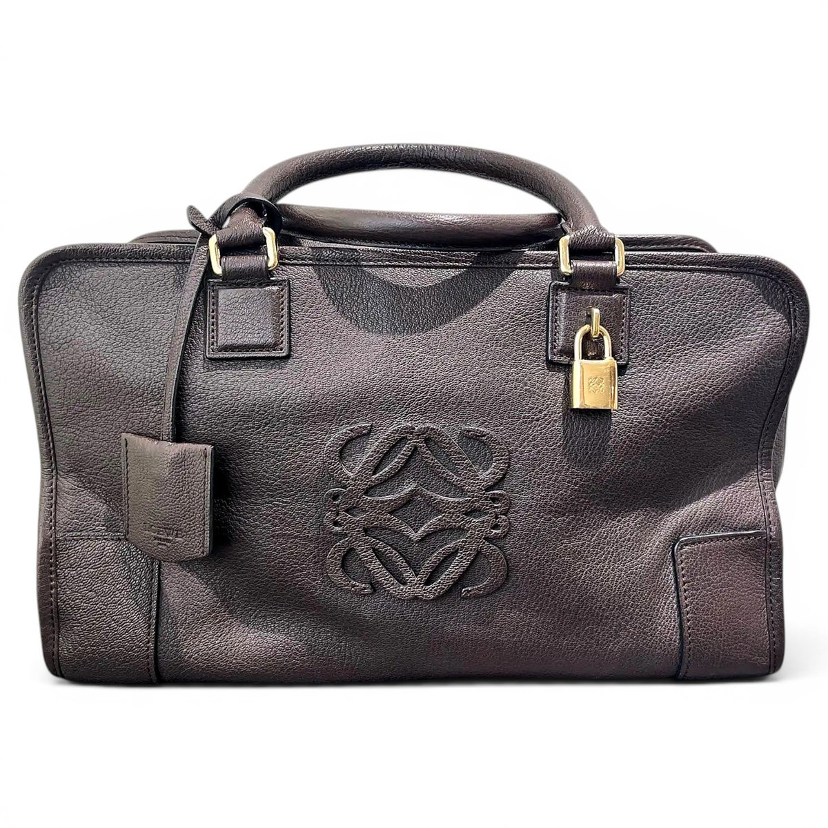 Amazona leather handbag
