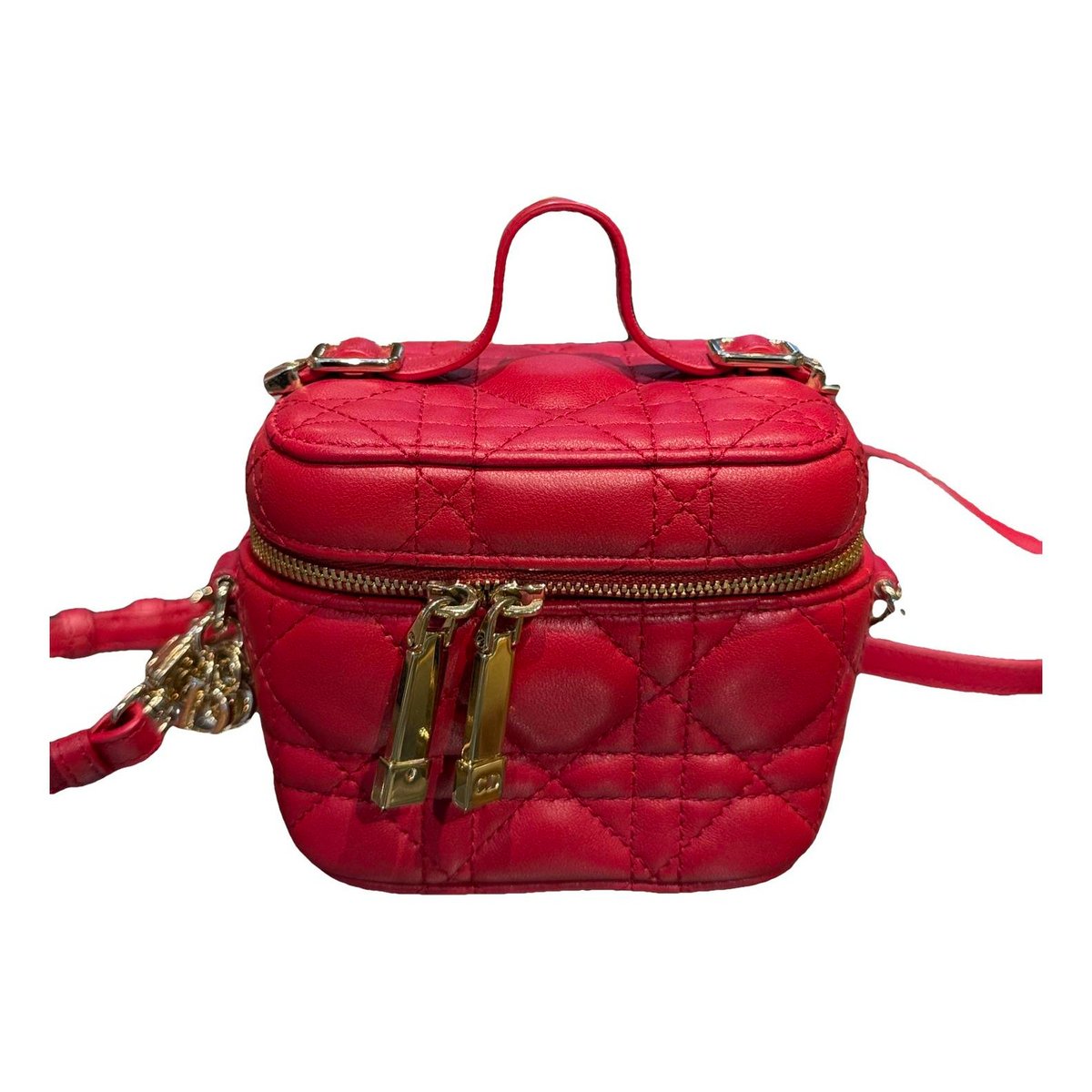Vanity lady dior leather handbag