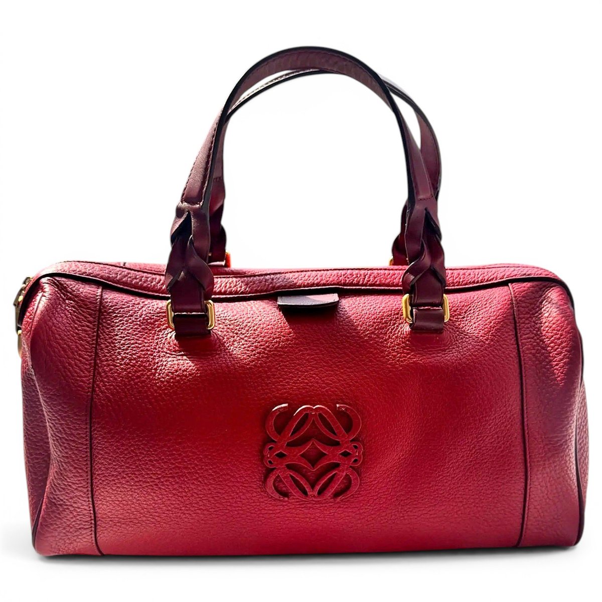 Amazona leather handbag
