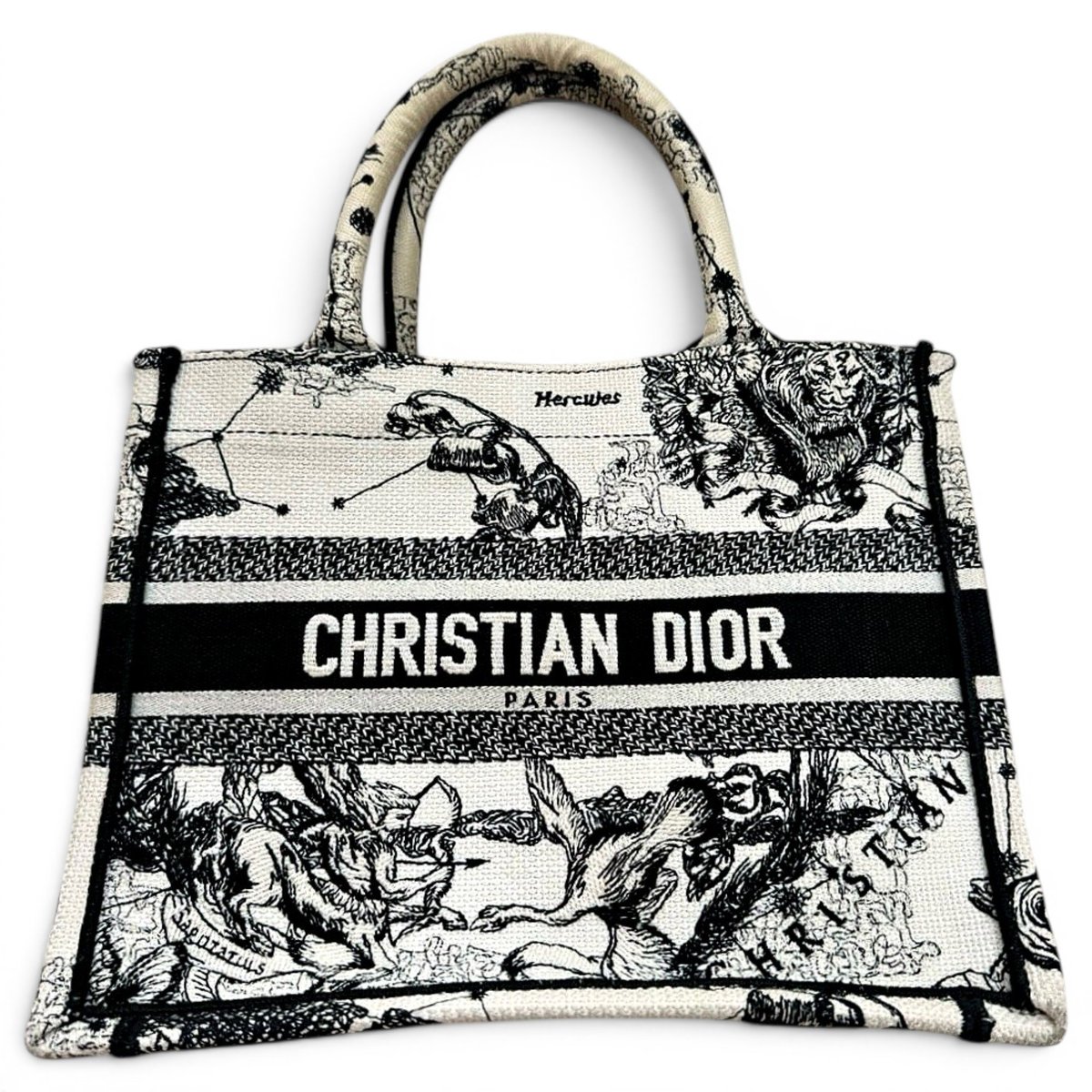Book Tote cloth tote