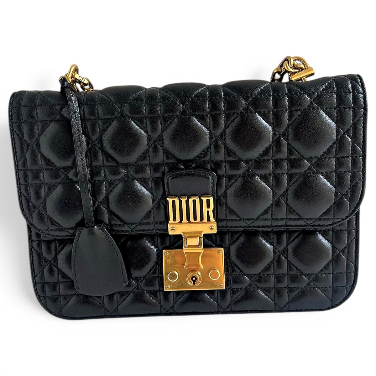 DiorAddict leather crossbody bag