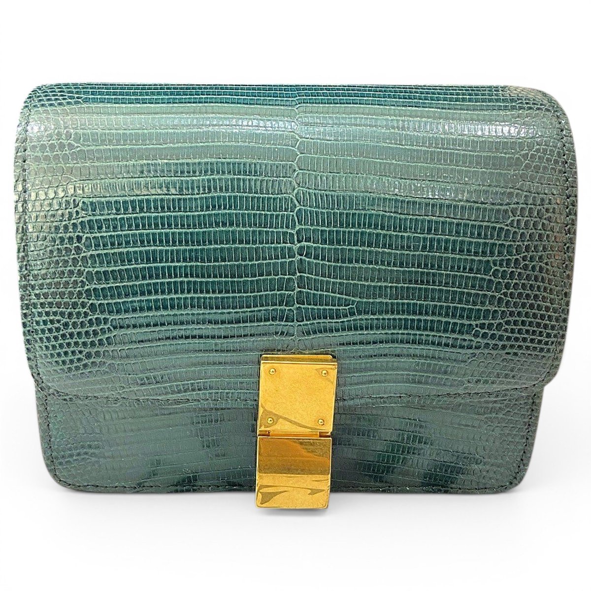 Classic lizard handbag