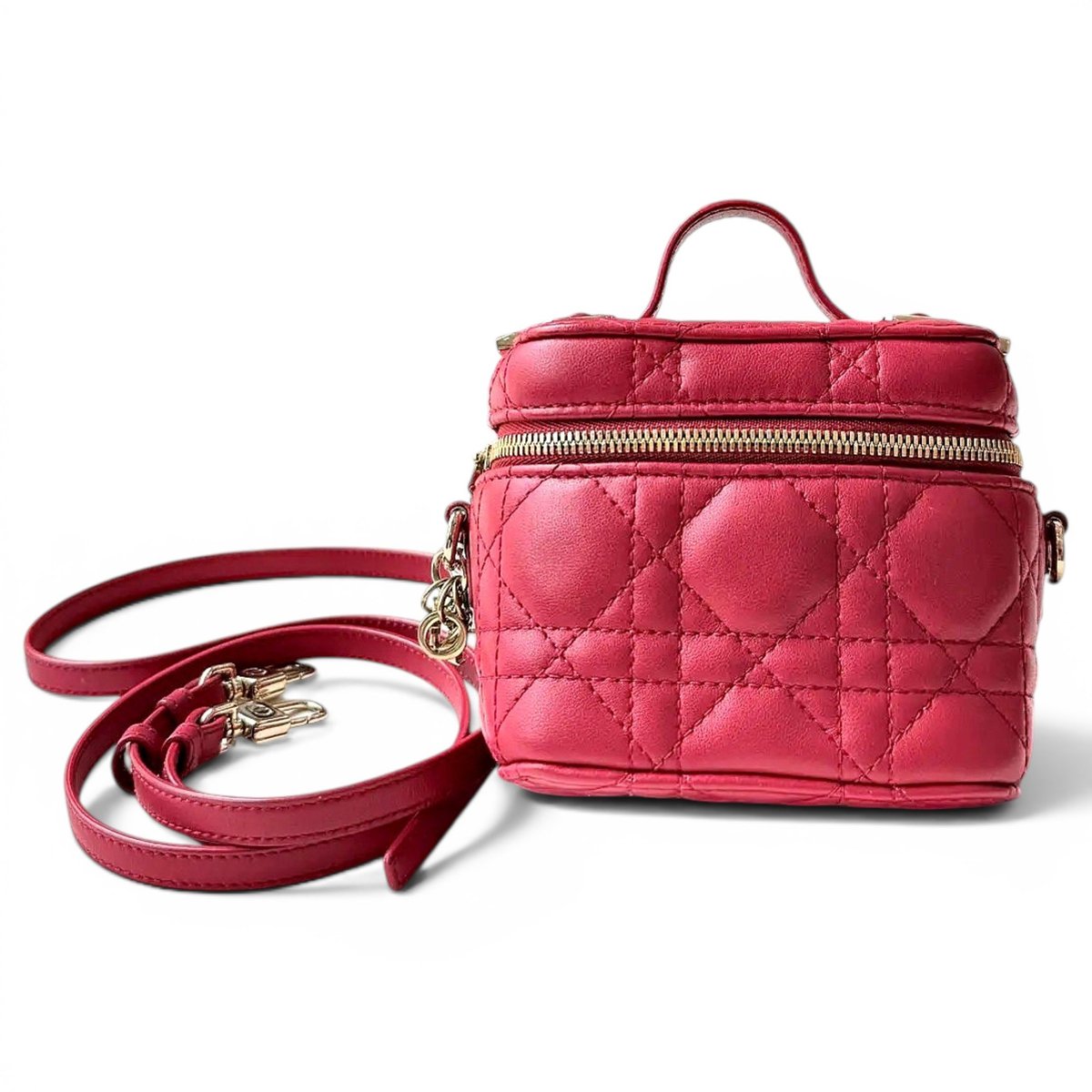Vanity lady dior leather handbag