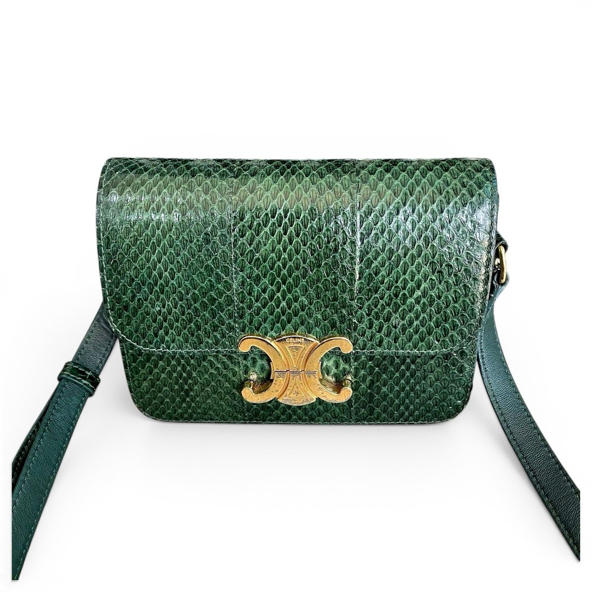 Triomphe python handbag