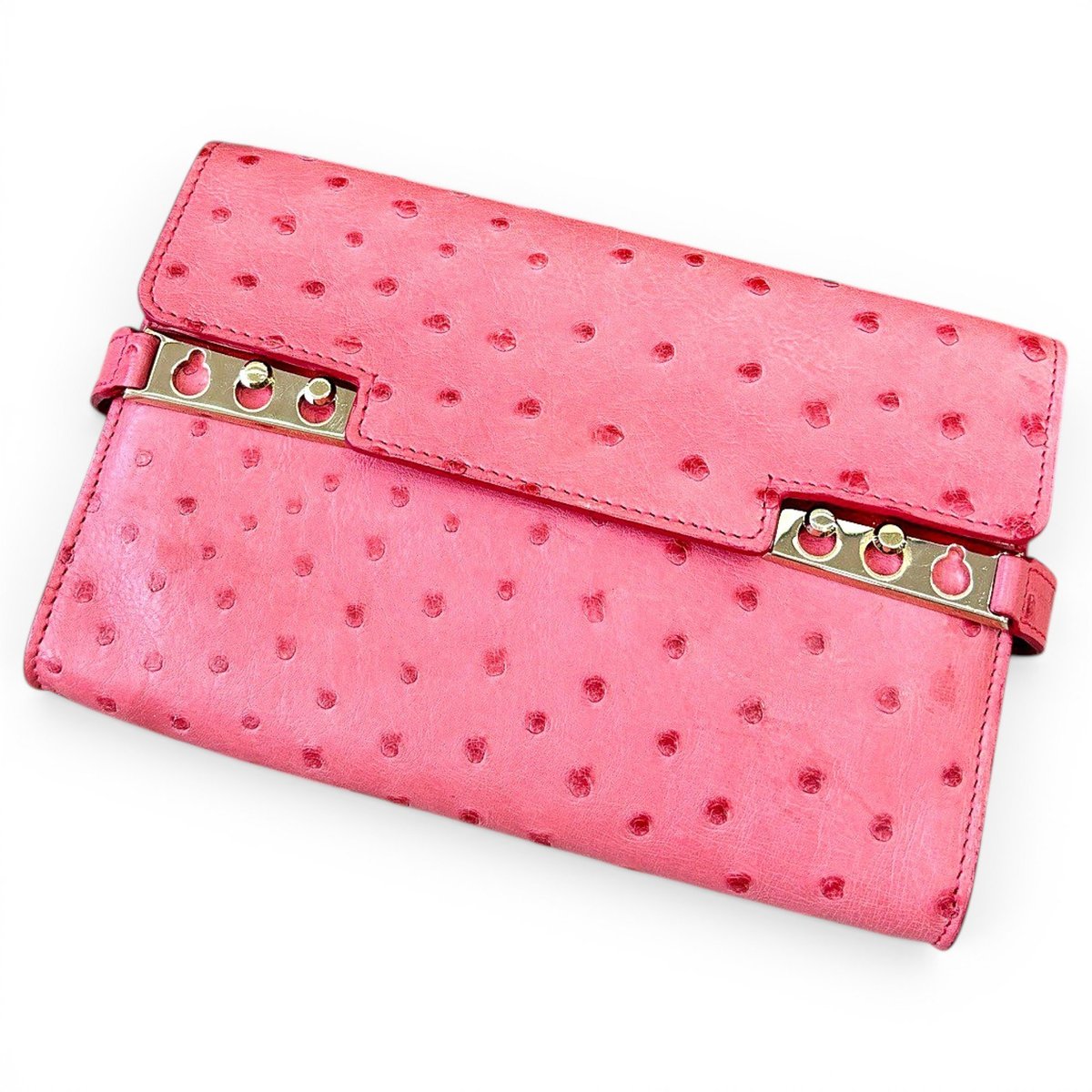 Tempête ostrich handbag