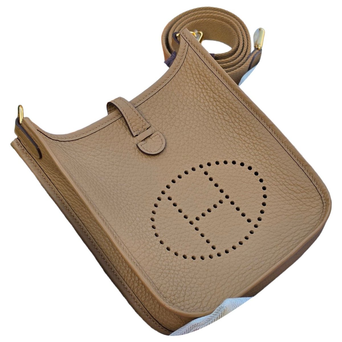 Mini Evelyne leather crossbody bag