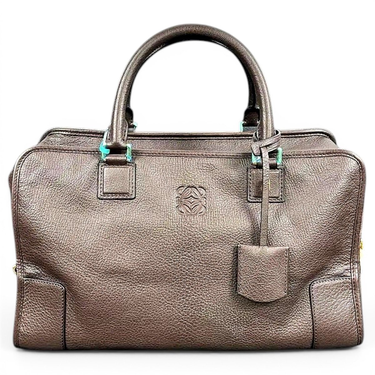 Amazona leather handbag