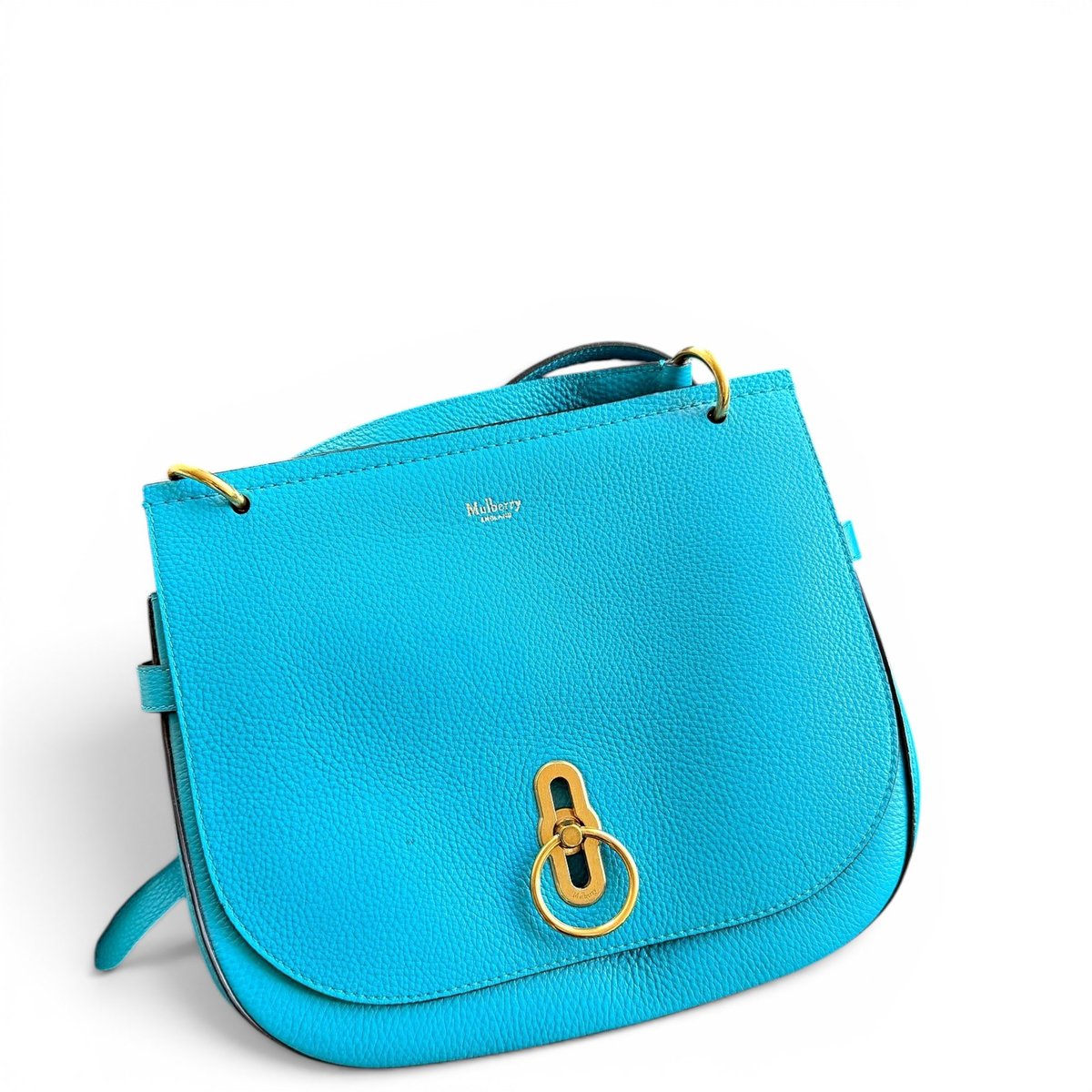 Amberley leather handbag
