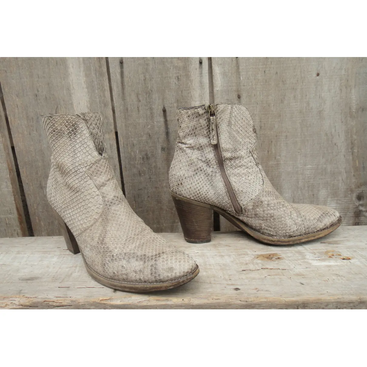 Buy Sartore Python ankle boots online