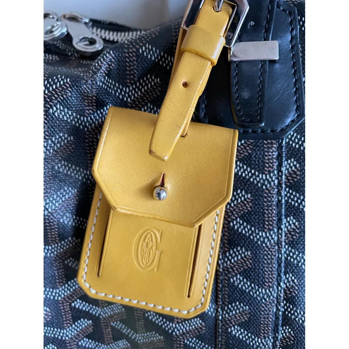 Croisière cloth handbag Goyard