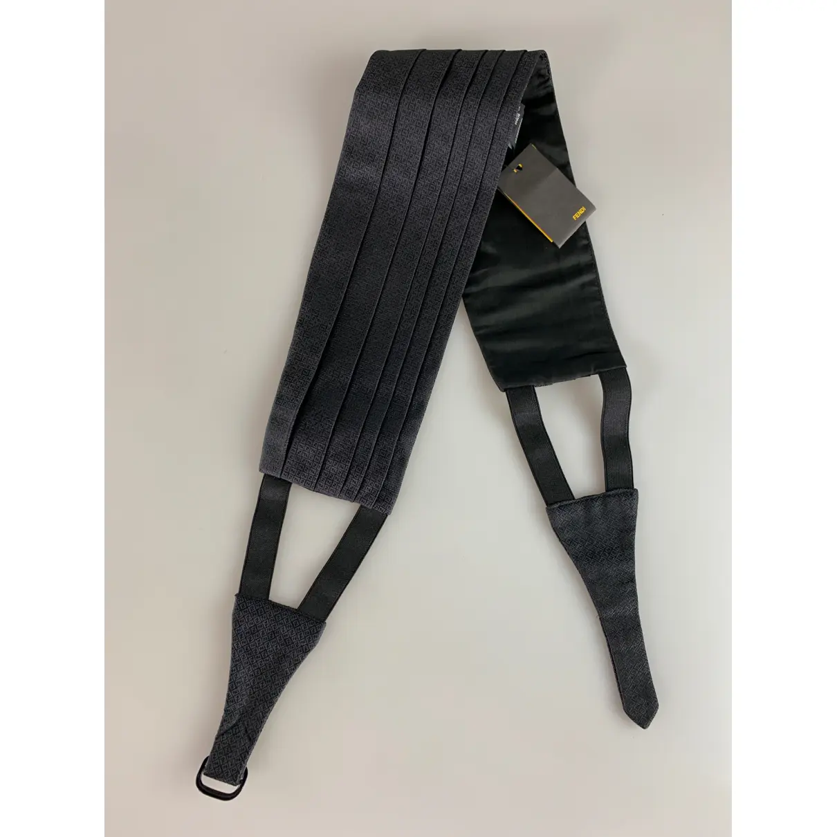 Cloth belt Fendi